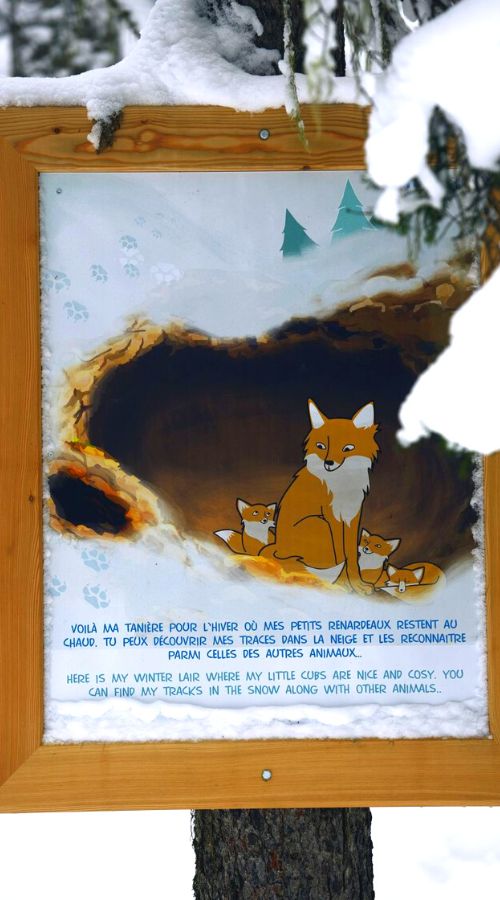 panneau informatif sur la vie du renard